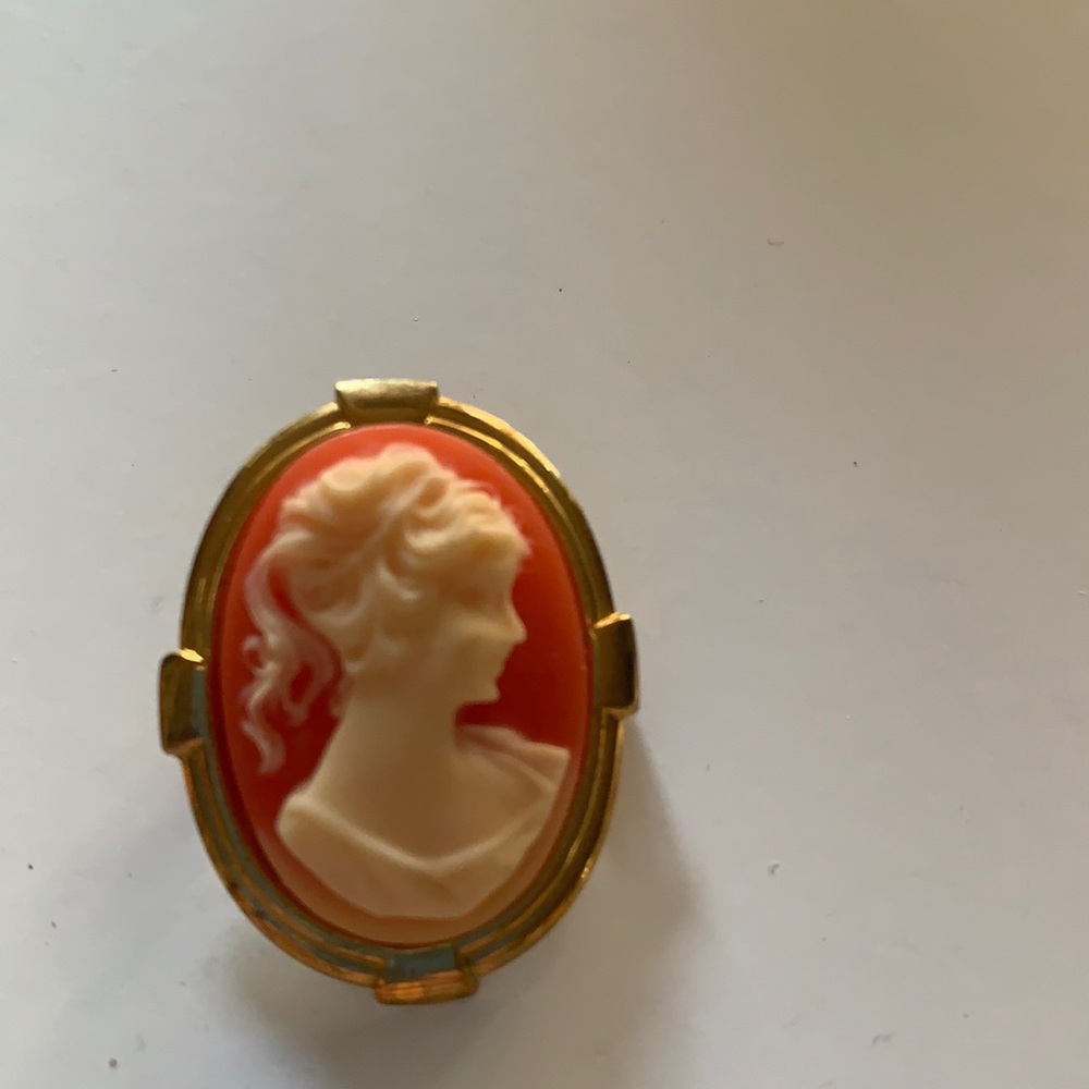 Camino vintage pin great condition